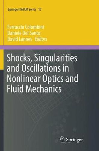 Cover image for Shocks, Singularities and Oscillations in Nonlinear Optics and Fluid Mechanics