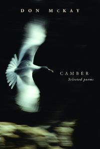 Cover image for Camber