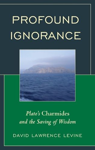 Cover image for Profound Ignorance: Plato's Charmides and the Saving of Wisdom