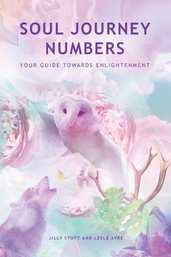 Cover image for Soul Journey Numbers