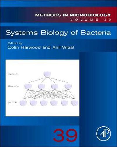 Cover image for Systems Biology of Bacteria