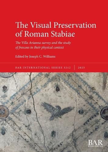 Cover image for The Visual Preservation of Roman Stabiae
