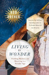 Cover image for Living in Wonder