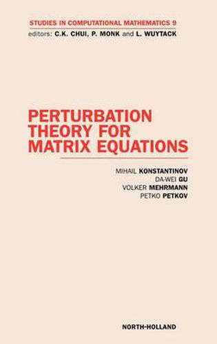 Cover image for Perturbation Theory for Matrix Equations