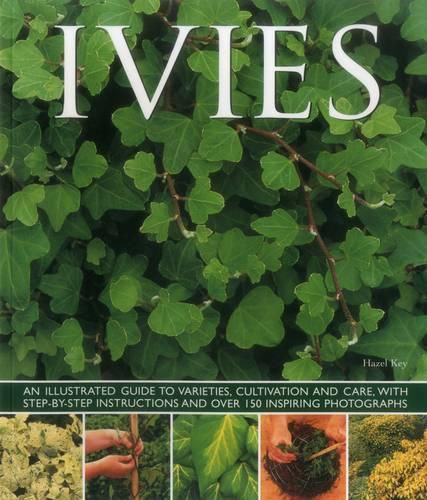 Cover image for Ivies