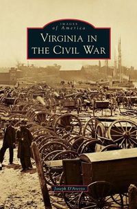 Cover image for Virginia in the Civil War