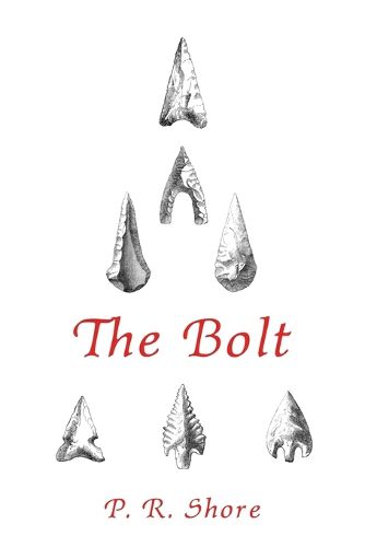 Cover image for The Bolt