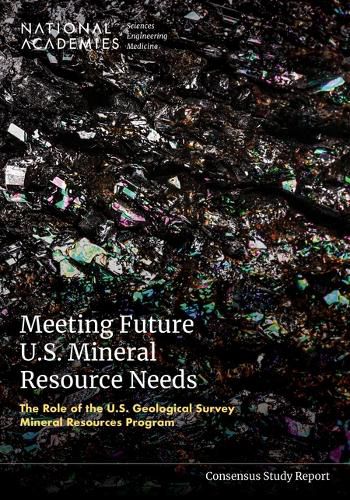 Cover image for Meeting Future U.S. Mineral Resource Needs