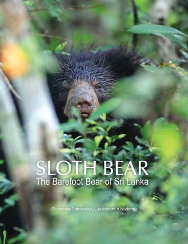 Cover image for Sloth Bear: The Barefoot Bear of Sri Lanka
