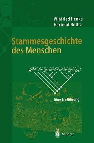 Cover image for Stammesgeschichte Des Menschen: Eine Einfuhrung