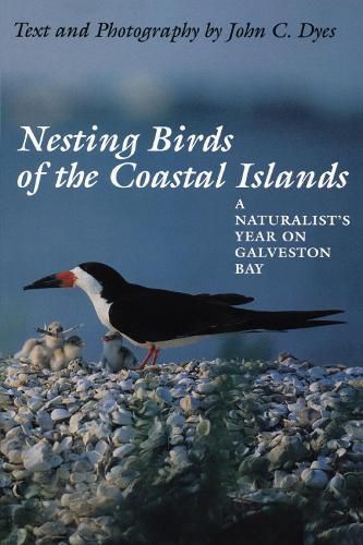 Cover image for Nesting Birds of the Coastal Islands: A Naturalist's Year on Galveston Bay