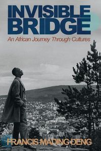 Cover image for Invisible Bridge: An African Journey through Cultures