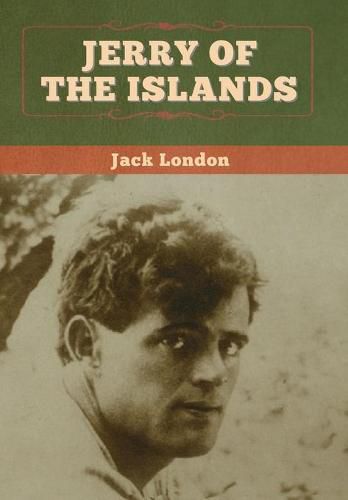 Cover image for Jerry of the Islands