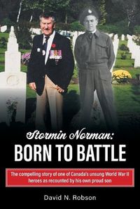 Cover image for Stormin Norman