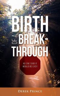 Cover image for Birth of a Breakthrough: No One Said It Would Be Easy