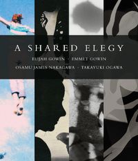 Cover image for A Shared Elegy