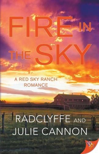 Cover image for Fire in the Sky