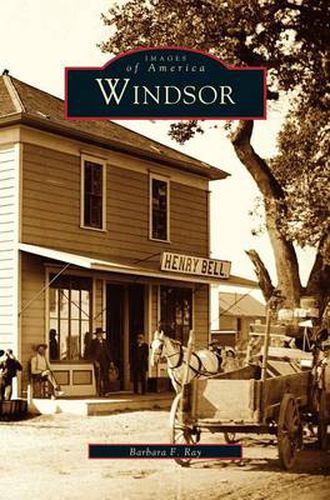 Cover image for Windsor