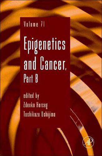 Cover image for Epigenetics and Cancer, Part B