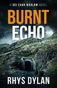 Cover image for Burnt Echo