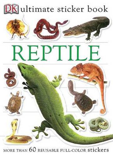 Cover image for Ultimate Sticker Book: Reptile: More Than 60 Reusable Full-Color Stickers