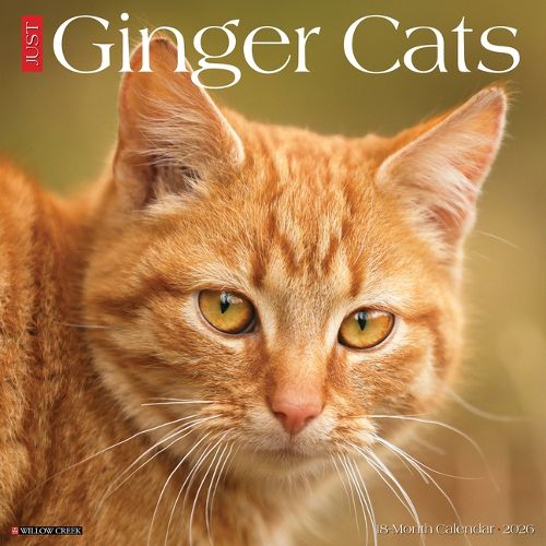 Cover image for Ginger Cats 2026 12 X 12 Wall Calendar