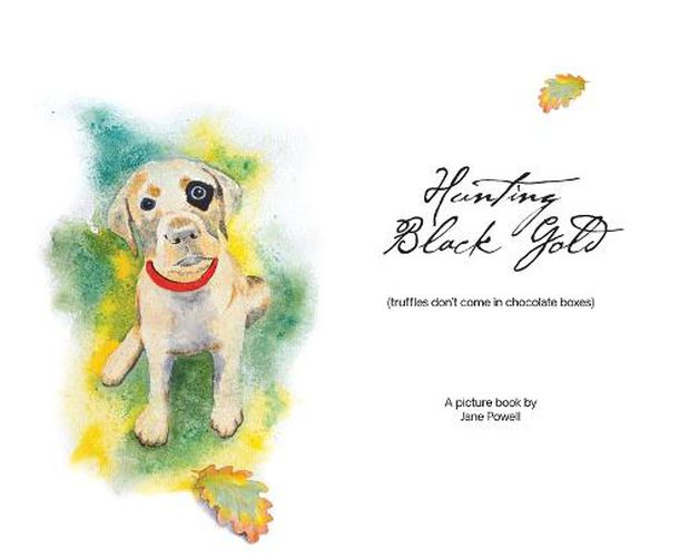 Cover image for Hunting Black Gold (truffles don't come in chocolate boxes)