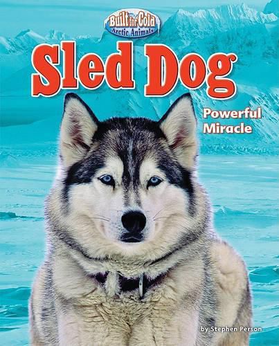 Cover image for Sled Dog: Powerful Miracle