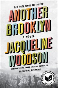 Cover image for Another Brooklyn