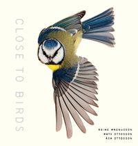Cover image for Close to Birds