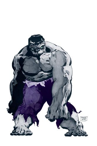 Cover image for Jeph Loeb & Tim Sale: Hulk