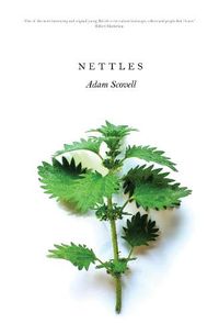 Cover image for Nettles