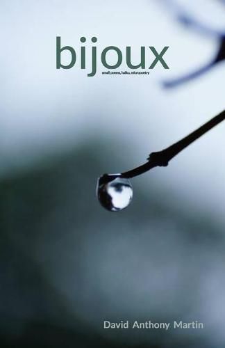 Cover image for bijoux