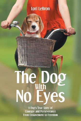 Cover image for The Dog With No Eyes