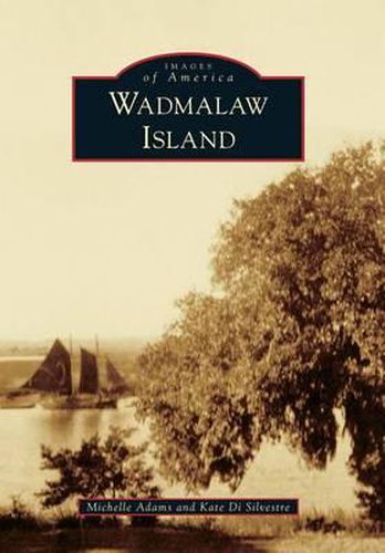 Cover image for Wadmalaw Island