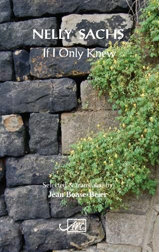 Cover image for If I Only Knew