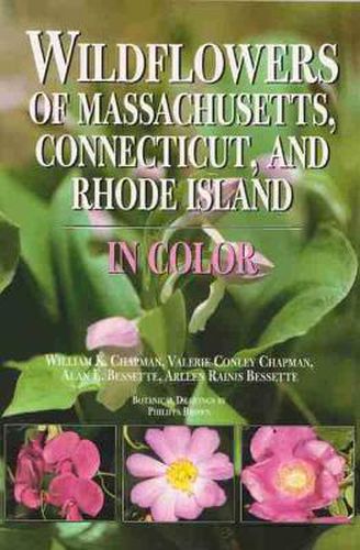 Cover image for Wildflowers of Massachusetts, Connecticut, and Rhode Island in Color