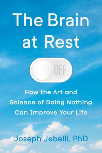 Cover image for The Brain at Rest