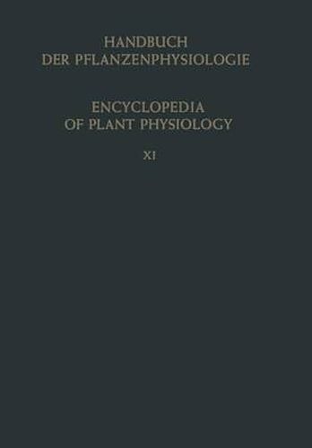Cover image for Heterotrophie / Heterotrophy