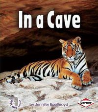 Cover image for In A Cave