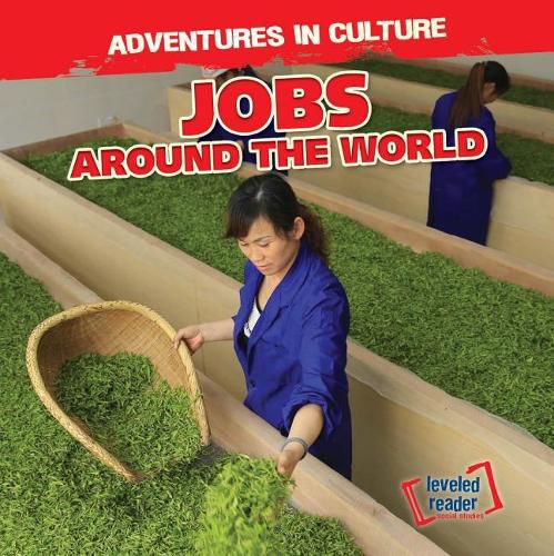 Cover image for Jobs Around the World