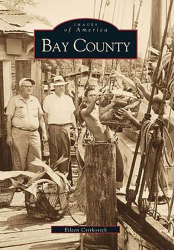 Cover image for Bay County