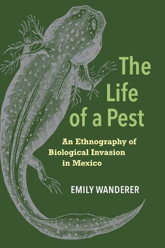 Cover image for The Life of a Pest: An Ethnography of Biological Invasion in Mexico