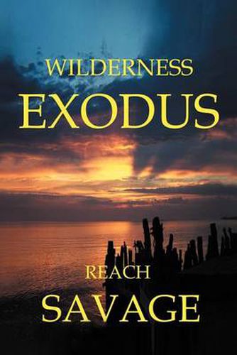 Cover image for Wilderness Exodus