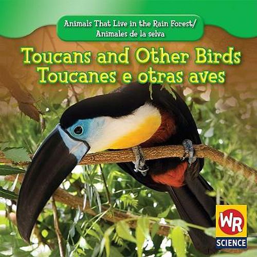 Cover image for Toucans and Other Birds / Tucanes Y Otras Aves