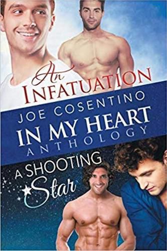 Cover image for In My Heart - An Infatuation & A Shooting Star