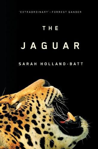 Cover image for The Jaguar
