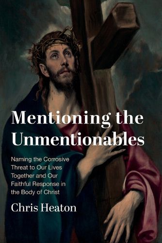 Cover image for Mentioning the Unmentionables
