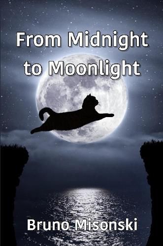 Cover image for From Midnight to Moonlight