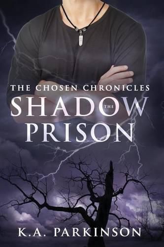 Cover image for The Shadow Prison